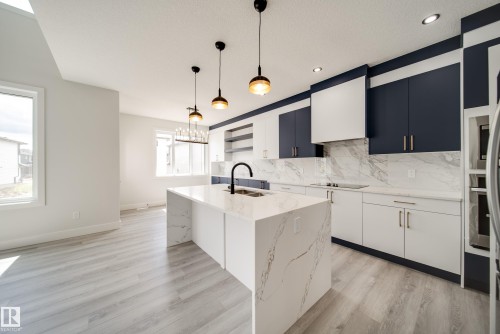 8747 183 Avenue, Edmonton, AB - Indoor Photo Showing Kitchen With Double Sink With Upgraded Kitchen