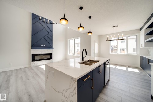 8747 183 Avenue, Edmonton, AB - Indoor Photo Showing Kitchen With Fireplace With Double Sink