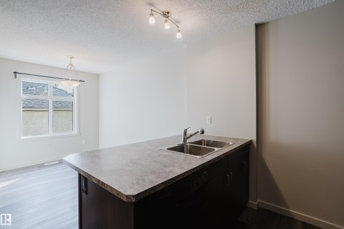 12038 62 Street, Edmonton, AB - Indoor Photo Showing Kitchen With Double Sink