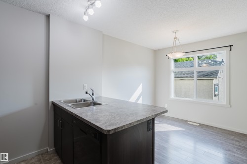 12038 62 Street, Edmonton, AB - Indoor Photo Showing Kitchen With Double Sink