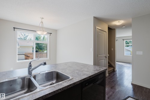 12038 62 Street, Edmonton, AB - Indoor Photo Showing Kitchen With Double Sink