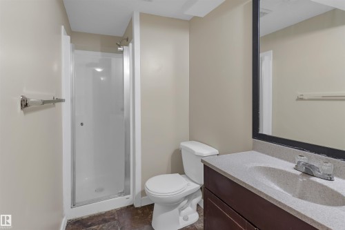 460 Gibb Wynd, Edmonton, AB - Indoor Photo Showing Bathroom