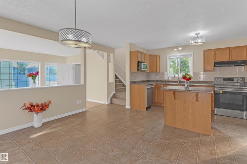 460 Gibb Wynd, Edmonton, AB - Indoor Photo Showing Kitchen With Double Sink