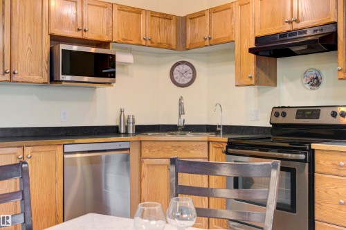 311 5340 199 Street, Edmonton, AB - Indoor Photo Showing Kitchen
