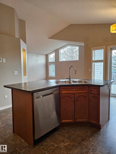 20604 48 Avenue, Edmonton, AB - Indoor Photo Showing Kitchen With Double Sink