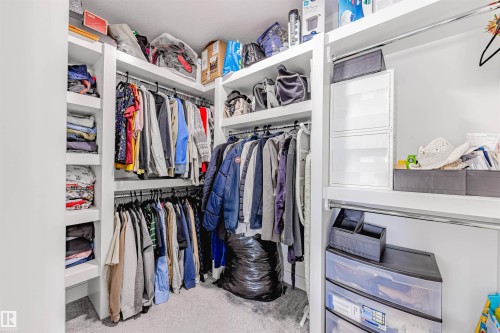 Walk in closet featuring light colored carpet - 8086 Kiriak Link, Edmonton, AB - Indoor With Storage