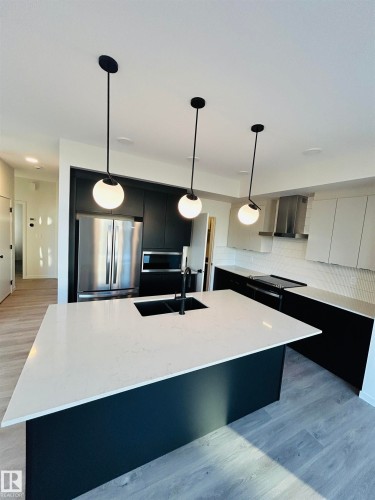 2203 158 Street, Edmonton, AB - Indoor Photo Showing Kitchen With Double Sink