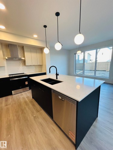 2203 158 Street, Edmonton, AB - Indoor Photo Showing Kitchen With Double Sink With Upgraded Kitchen