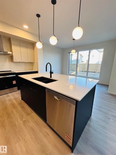 2203 158 Street, Edmonton, AB - Indoor Photo Showing Kitchen With Double Sink With Upgraded Kitchen