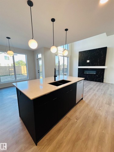 2203 158 Street, Edmonton, AB - Indoor Photo Showing Kitchen With Double Sink