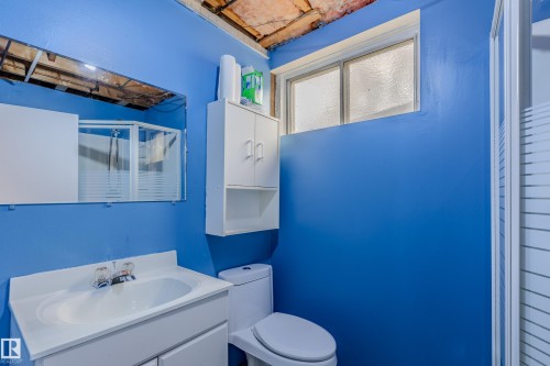 11921 36 Street, Edmonton, AB - Indoor Photo Showing Bathroom