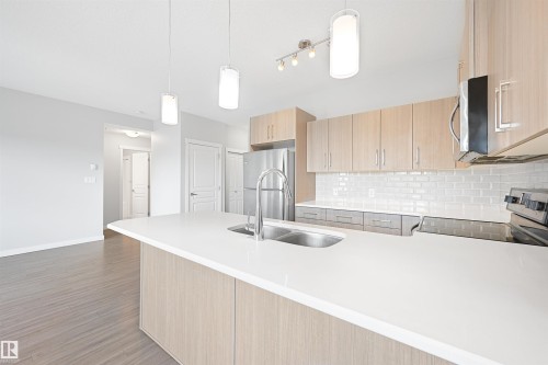 310 812 Welsh Drive, Edmonton, AB - Indoor Photo Showing Kitchen With Double Sink With Upgraded Kitchen