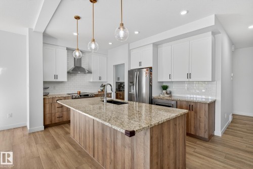9219 183 Avenue, Edmonton, AB - Indoor Photo Showing Kitchen With Double Sink With Upgraded Kitchen