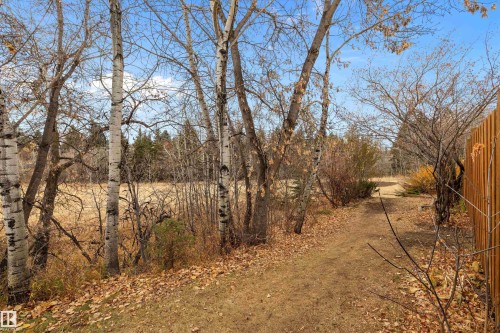 47 Royal Road, Edmonton, AB - Outdoor With View