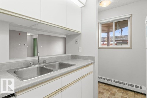 309 11218 80 Street, Edmonton, AB - Indoor Photo Showing Kitchen With Double Sink