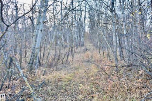 Twp Rd 574 Rr 93, Rural St. Paul County, AB 