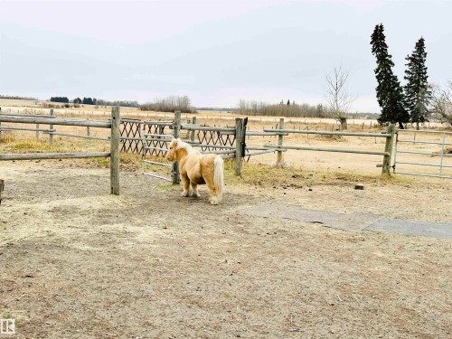 465012 Rge Road 253, Rural Wetaskiwin County, AB - Outdoor With View