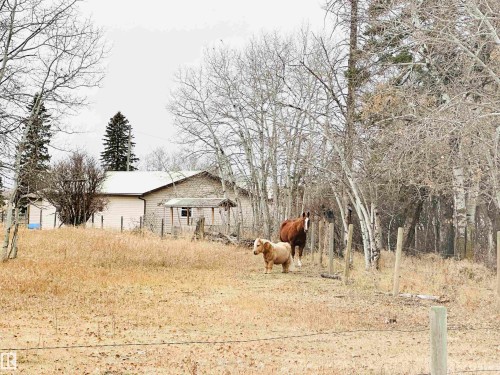 465012 Rge Road 253, Rural Wetaskiwin County, AB - Outdoor