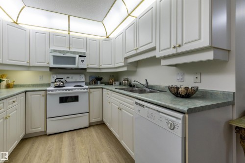 120 6703 172 Street, Edmonton, AB - Indoor Photo Showing Kitchen With Double Sink