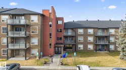 203 13908 136 Street  Edmonton, AB T6V 1Y4