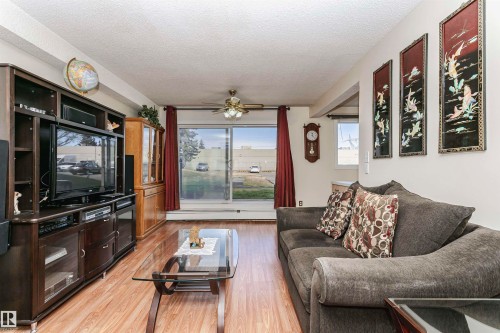 109 15105 121 Street Nw, Edmonton, AB - Indoor Photo Showing Living Room