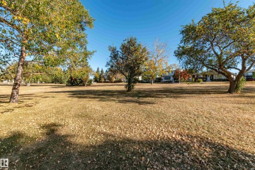 11227 40 Avenue, Edmonton, AB - Outdoor With View