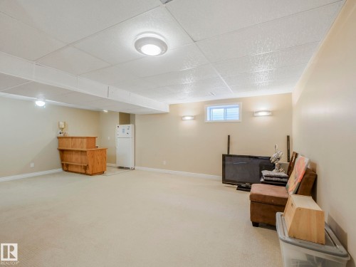 6219 162 Avenue, Edmonton, AB - Indoor Photo Showing Basement