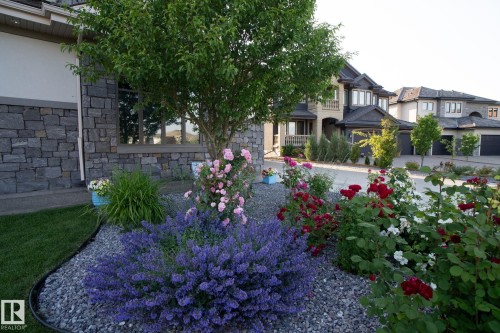 3652 Westcliff Way, Edmonton, AB - Outdoor