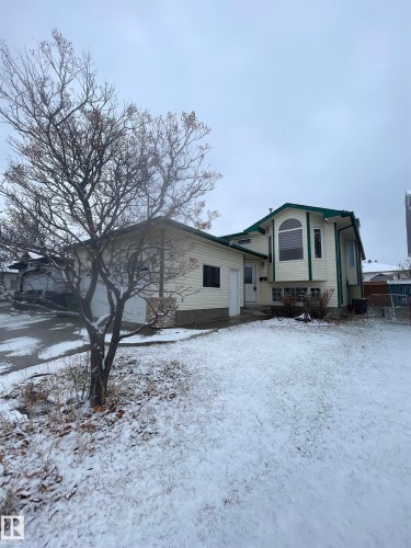 1043 Jones Crescent, Edmonton, AB - Outdoor