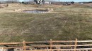 210-50125 Rge Rd 233, Rural Leduc County, AB 