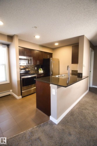 124 12025 22 Avenue, Edmonton, AB - Indoor Photo Showing Kitchen