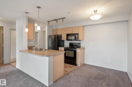 319 13907 136 Street, Edmonton, AB - Indoor Photo Showing Kitchen With Double Sink