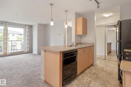 319 13907 136 Street, Edmonton, AB - Indoor Photo Showing Kitchen With Double Sink