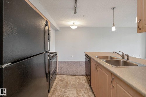 319 13907 136 Street, Edmonton, AB - Indoor Photo Showing Kitchen With Double Sink