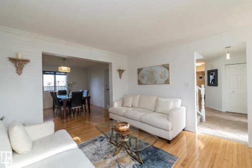 12 Elsinore Place, Edmonton, AB - Indoor Photo Showing Living Room