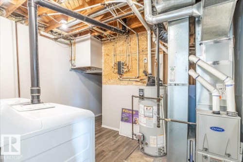 10982 164 Street, Edmonton, AB - Indoor Photo Showing Basement