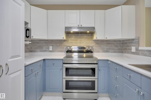 305 10221 111 Street, Edmonton, AB - Indoor Photo Showing Kitchen