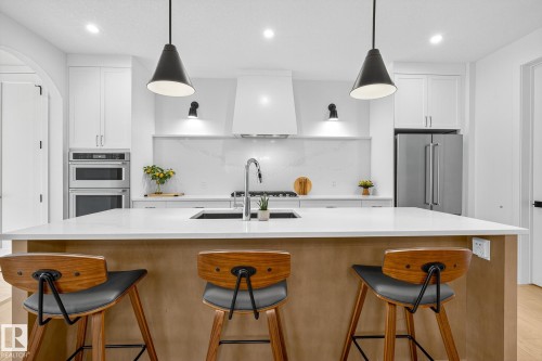 9721 96 Street, Edmonton, AB - Indoor Photo Showing Kitchen With Upgraded Kitchen