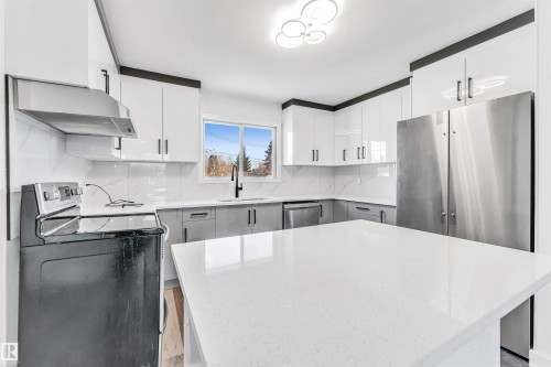10751 164 Street, Edmonton, AB - Indoor Photo Showing Kitchen With Stainless Steel Kitchen With Upgraded Kitchen