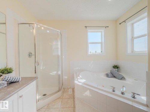 15013 135A Street, Edmonton, AB - Indoor Photo Showing Bathroom