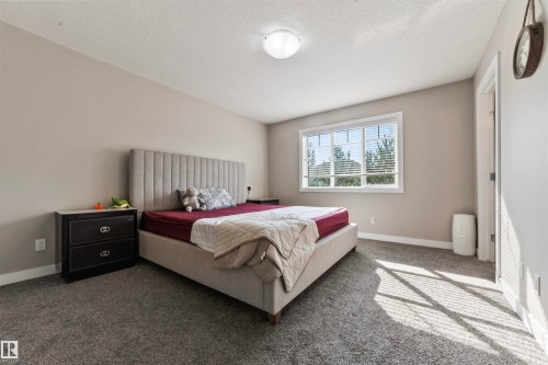 42 7289 South Terwillegar Drive, Edmonton, AB - Indoor Photo Showing Bedroom