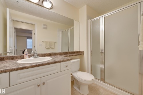 336 9008 99 Avenue, Edmonton, AB - Indoor Photo Showing Bathroom