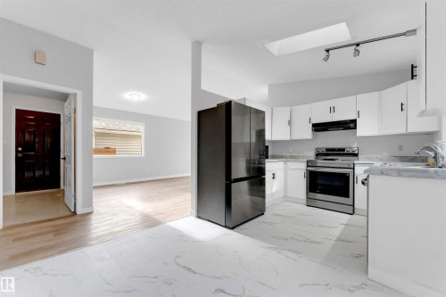 3313 43 Street, Edmonton, AB - Indoor Photo Showing Kitchen With Double Sink