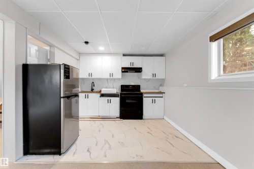 3313 43 Street, Edmonton, AB - Indoor Photo Showing Kitchen