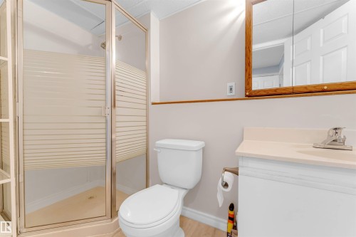 3313 43 Street, Edmonton, AB - Indoor Photo Showing Bathroom