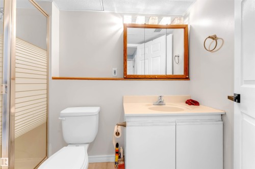 3313 43 Street, Edmonton, AB - Indoor Photo Showing Bathroom