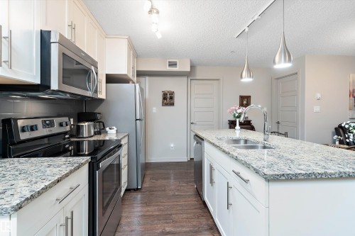 213 5510 Schonsee Drive, Edmonton, AB - Indoor Photo Showing Kitchen With Stainless Steel Kitchen With Double Sink With Upgraded Kitchen