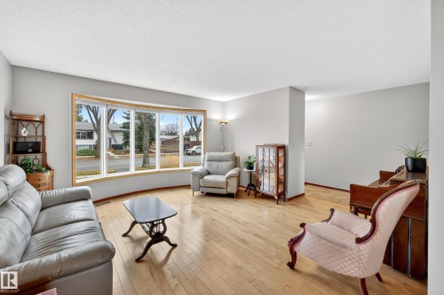 9616 154 Street, Edmonton, AB - Indoor Photo Showing Living Room