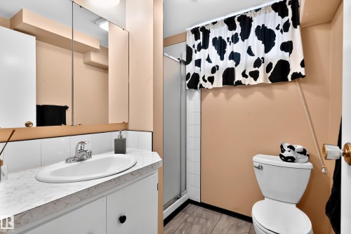 9616 154 Street, Edmonton, AB - Indoor Photo Showing Bathroom