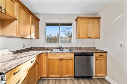 13311 Dovercourt Avenue, Edmonton, AB - Indoor Photo Showing Kitchen With Double Sink